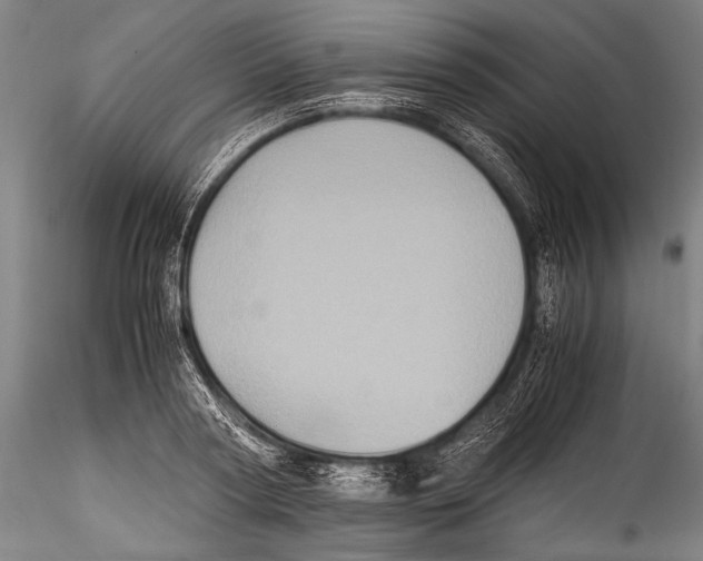 X0000115310794200911301534