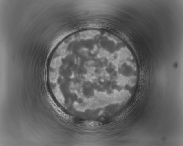 X0000115310795200911301534