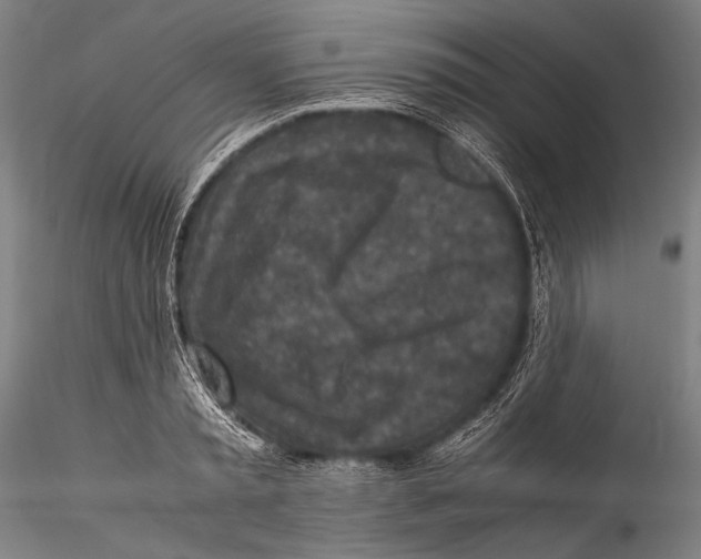 X0000115310797200911301534