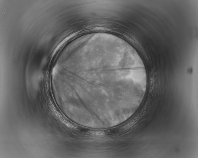 X0000115310798200911301534