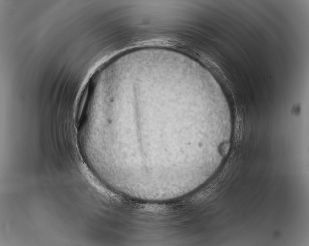 X0000115310800200911301534