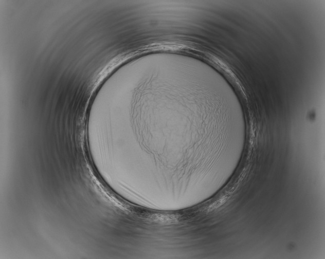 X0000115310802200911301534