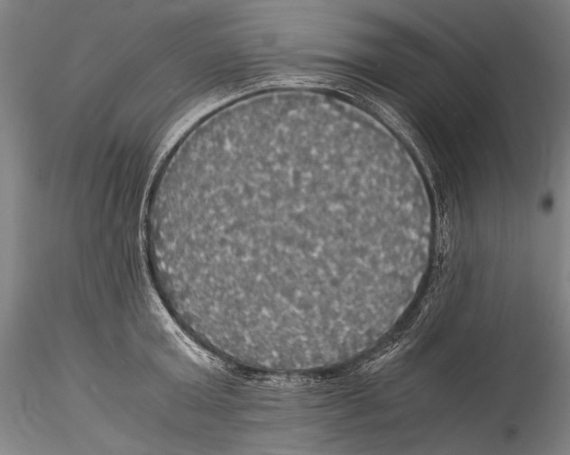 X0000115310803200911301534