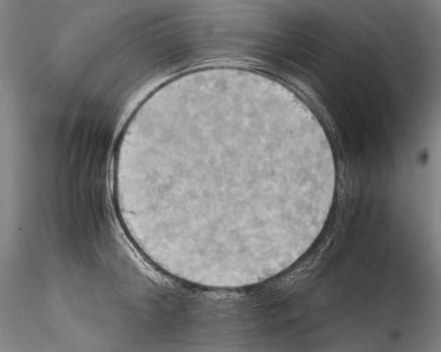 X0000115310804200911301534