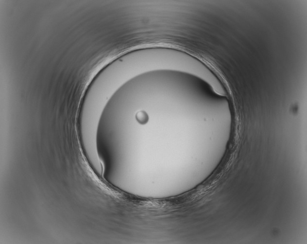 X0000115310805200911301534