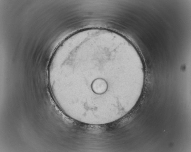 X0000115310807200911301534