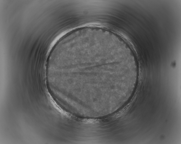 X0000115310808200911301534