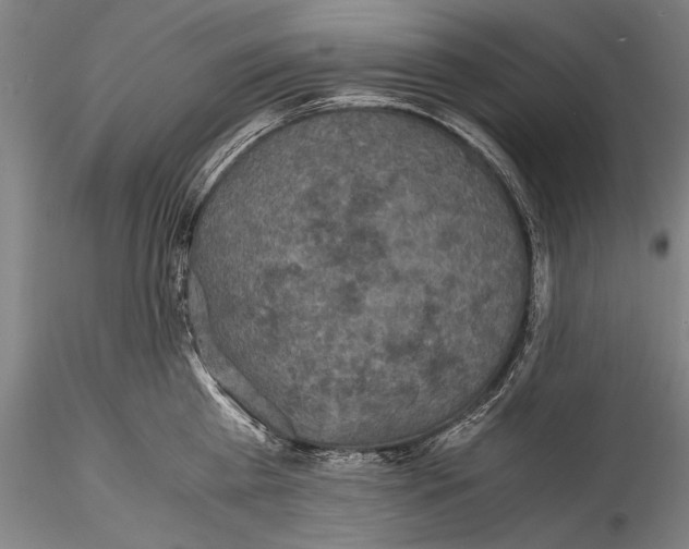 X0000115310809200911301534