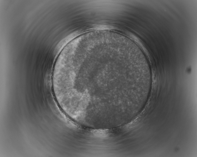 X0000115310810200911301534