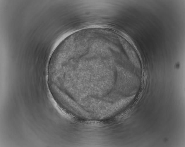 X0000115310811200911301534