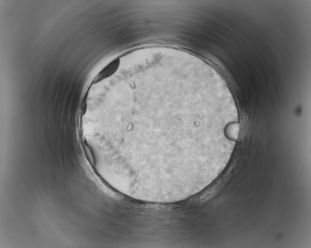 X0000115310812200911301534