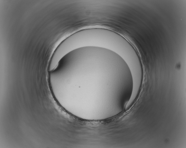 X0000115310813200911301534