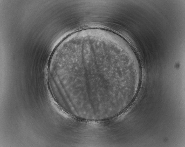 X0000115310814200911301534