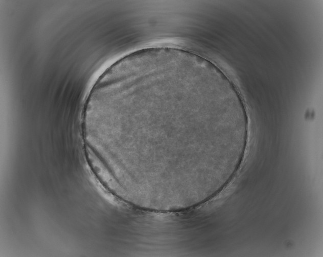 X0000115310816200911301534