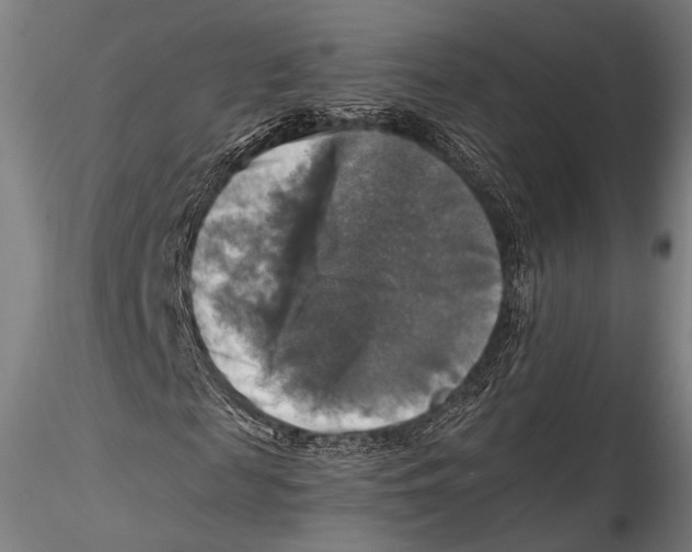 X0000115310817200911301533