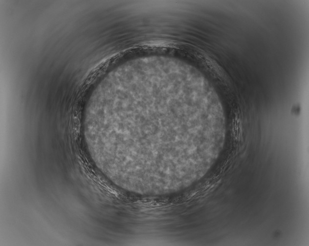 X0000115310821200911301533