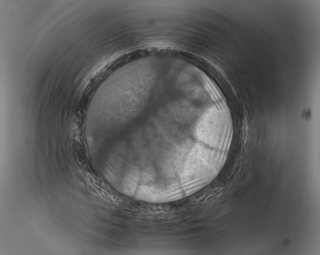 X0000115310823200911301533