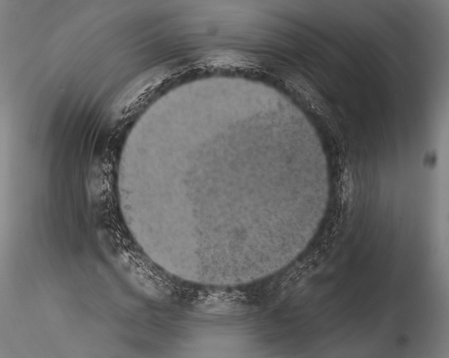 X0000115310824200911301533