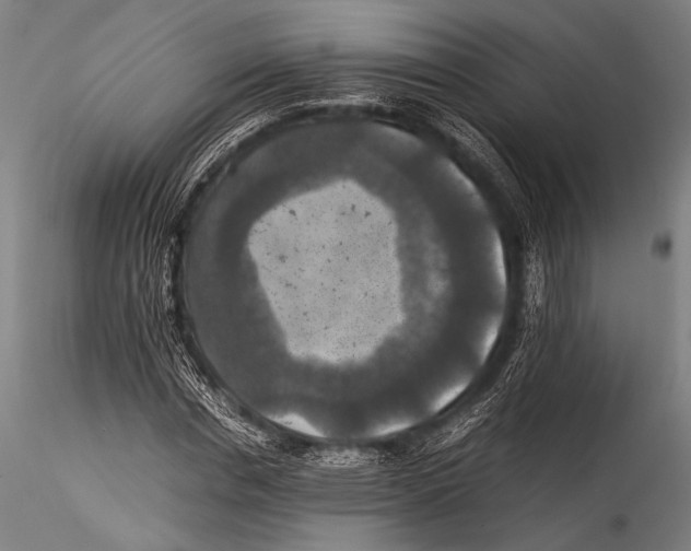 X0000115310826200911301533