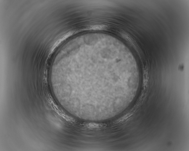 X0000115310827200911301533