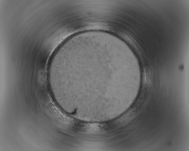 X0000115310828200911301533