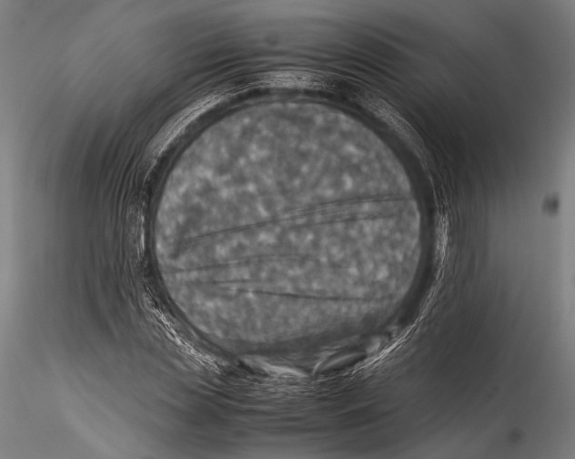 X0000115310829200911301533