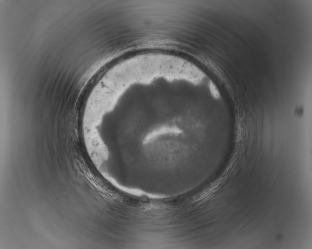 X0000115310830200911301533