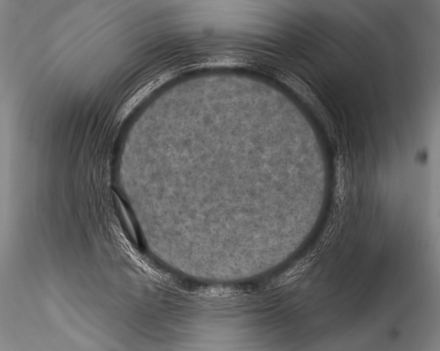 X0000115310834200911301533