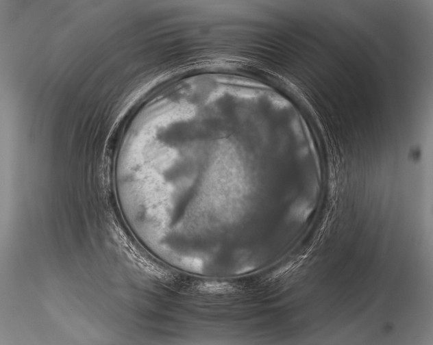 X0000115310835200911301533