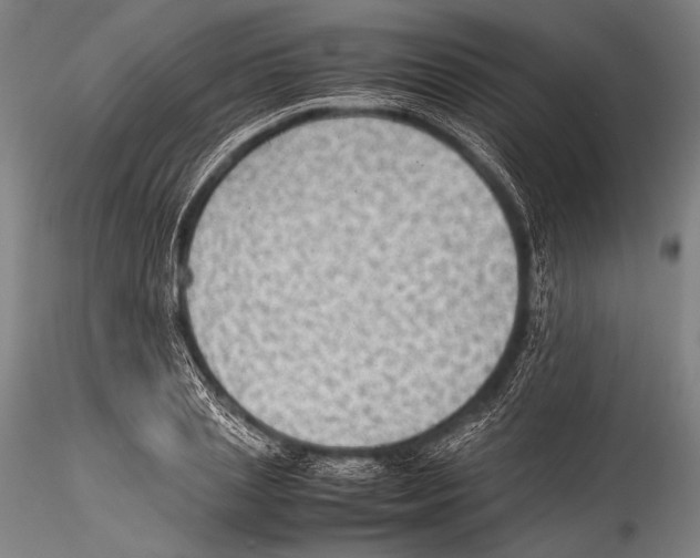 X0000115310837200911301533