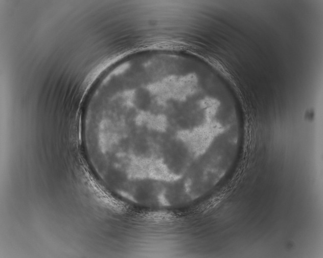 X0000115310838200911301533