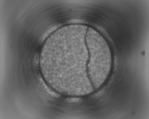 X0000115310841200911301534