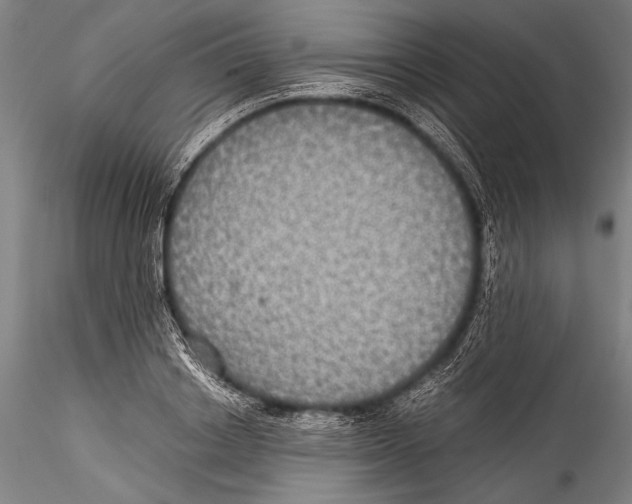 X0000115310842200911301534