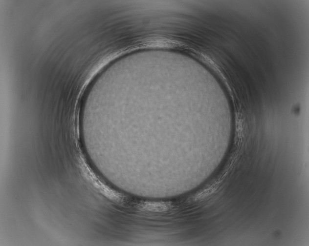 X0000115310843200911301534