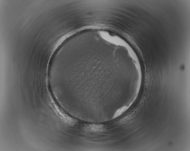 X0000115310845200911301534