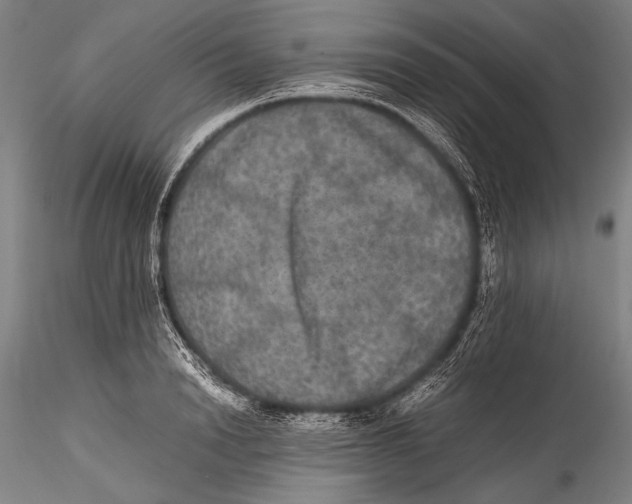 X0000115310846200911301534