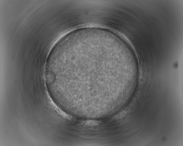 X0000115310847200911301534