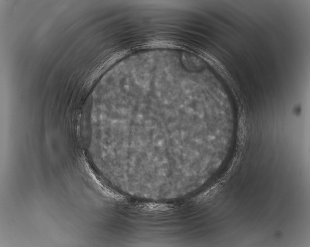 X0000115310849200911301534