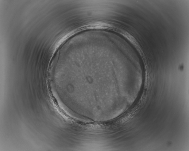 X0000115310850200911301534