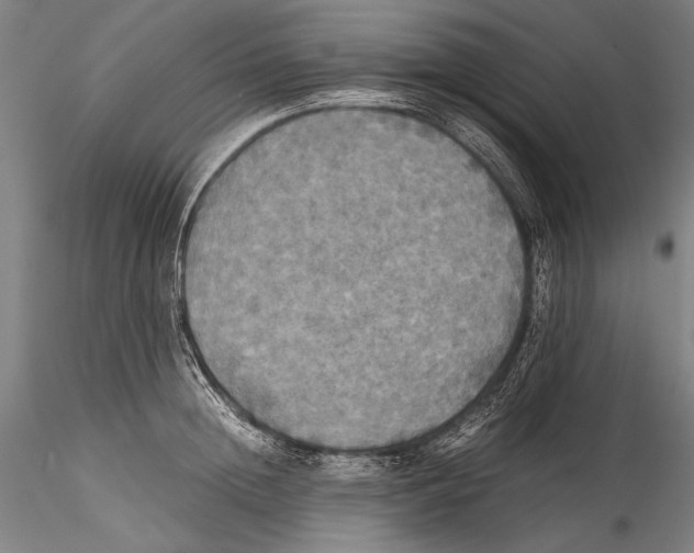 X0000115310852200911301534