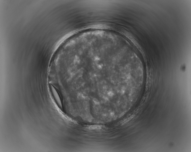 X0000115310853200911301534