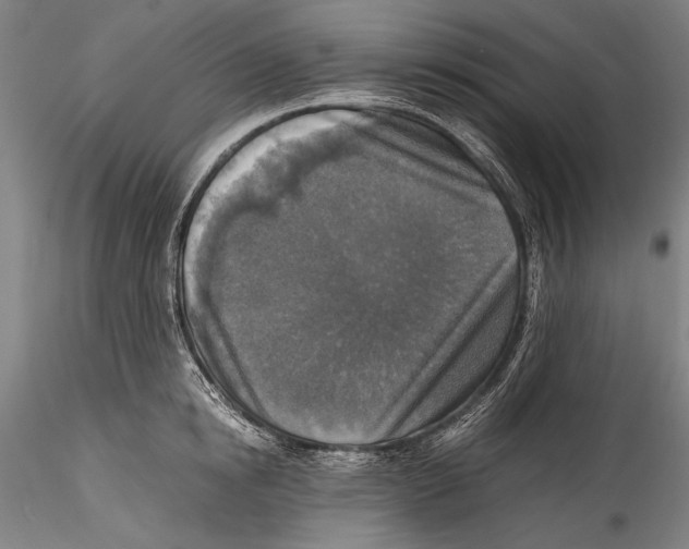 X0000115310854200911301534