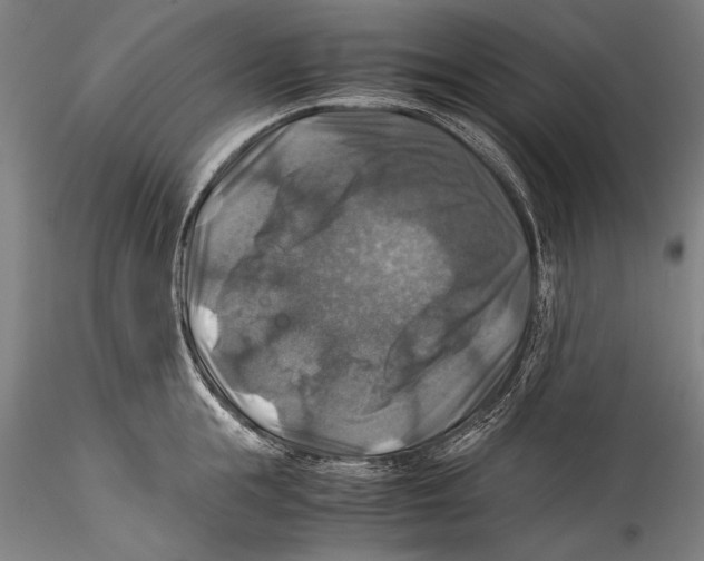 X0000115310855200911301534