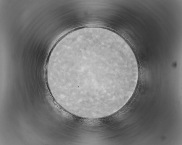 X0000115310856200911301534