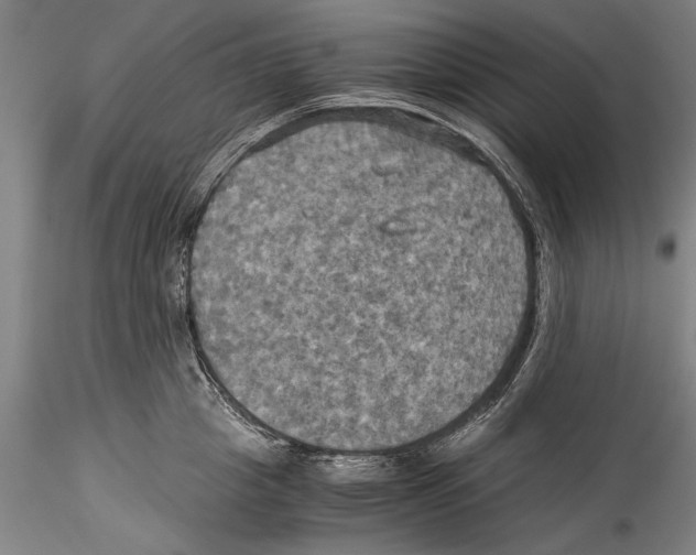 X0000115310857200911301534