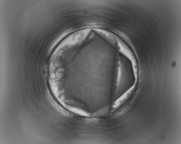 X0000115310859200911301534