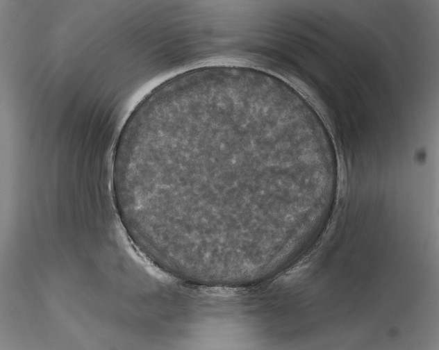 X0000115310862200911301534