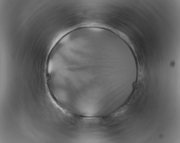 X0000115310863200911301534