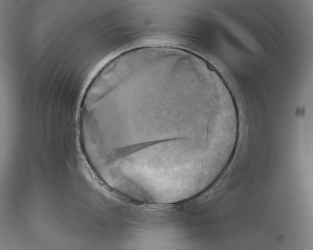 X0000115310864200911301534