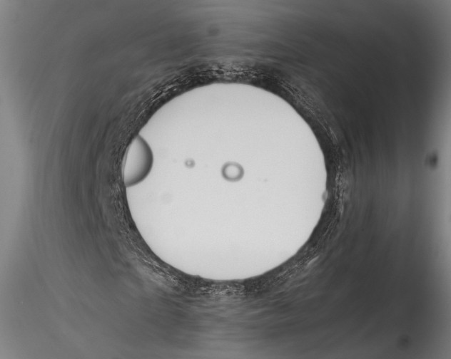 X0000115310865200911301533